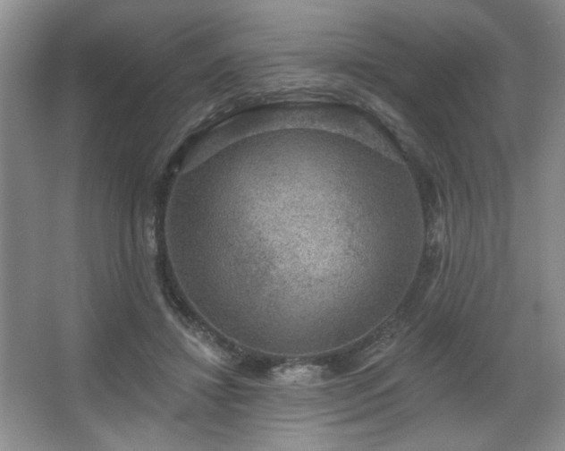 X0000067900452200604131359