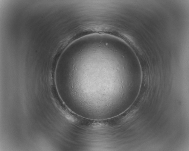 X0000067900453200604131359