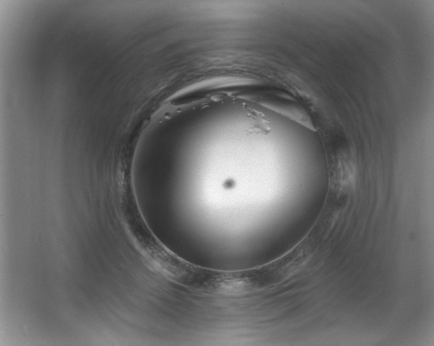 X0000067900456200604131359