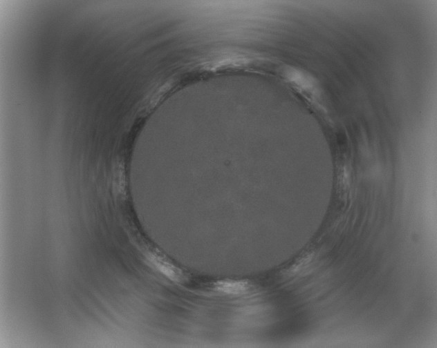 X0000067900457200604131359