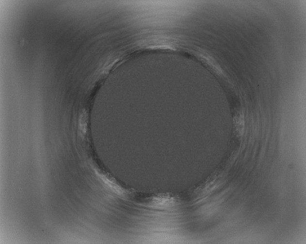 X0000067900458200604131359