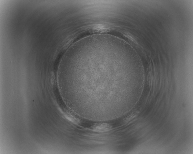 X0000067900459200604131359