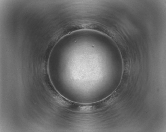 X0000067900461200604131359