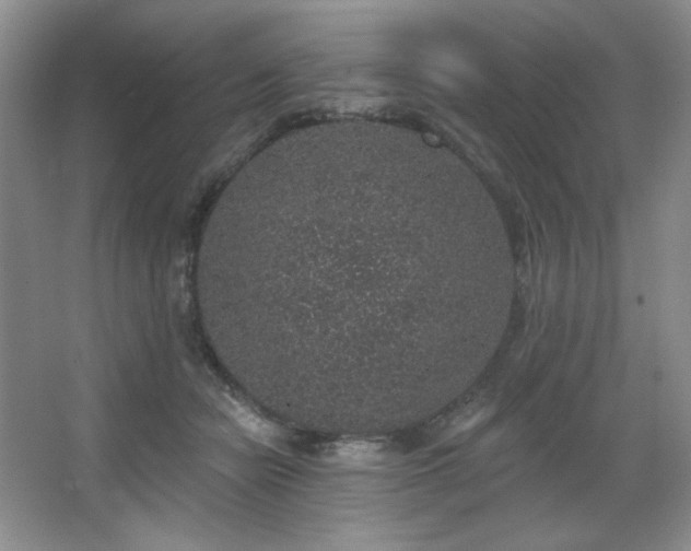 X0000067900462200604131359