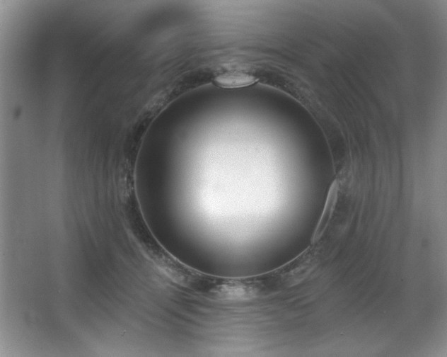 X0000067900464200604131359