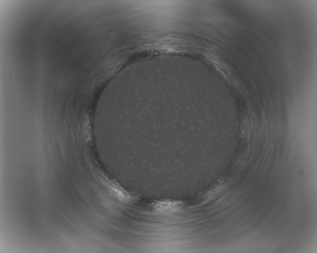 X0000067900465200604131359