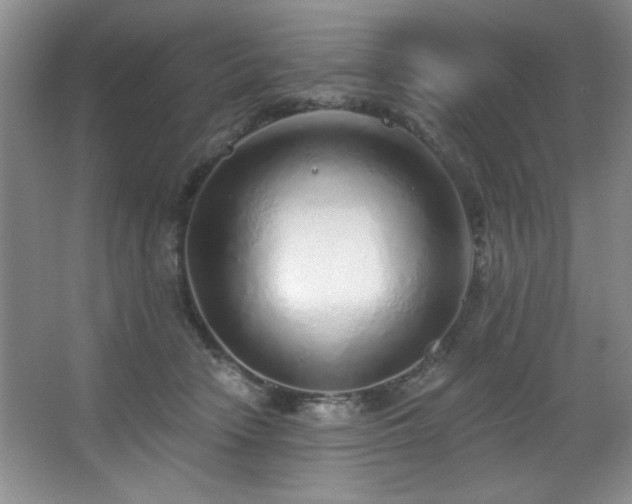 X0000067900466200604131359