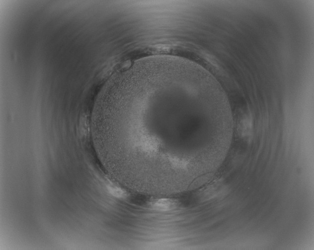 X0000067900467200604131359