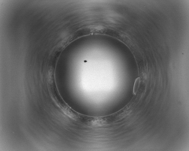 X0000067900468200604131359