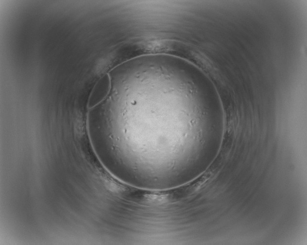 X0000067900469200604131359