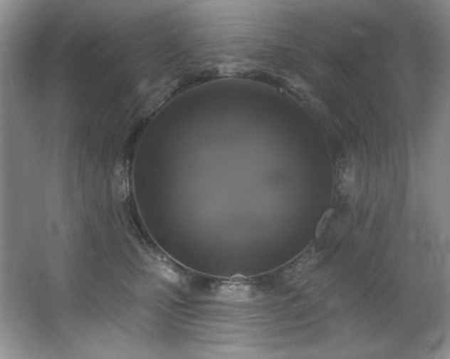 X0000067900471200604131359