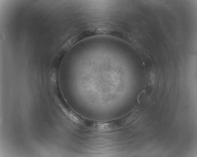 X0000067900472200604131359