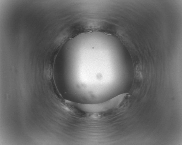 X0000067900474200604131359