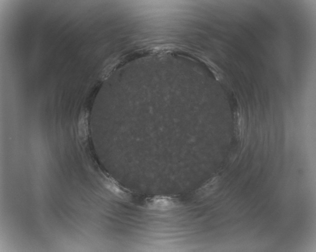 X0000067900475200604131359