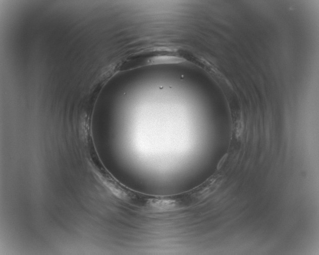 X0000067900476200604131359