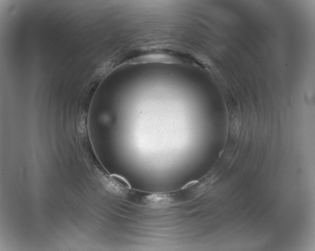 X0000067900477200604131359