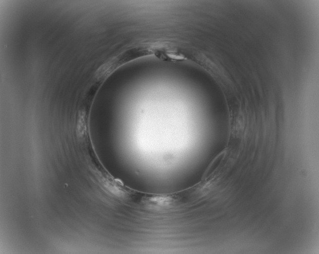 X0000067900478200604131359