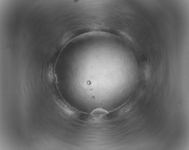 X0000067900479200604131359