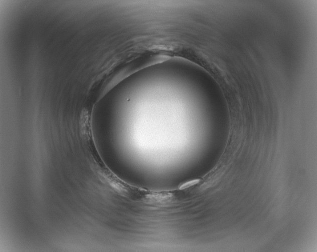 X0000067900480200604131359