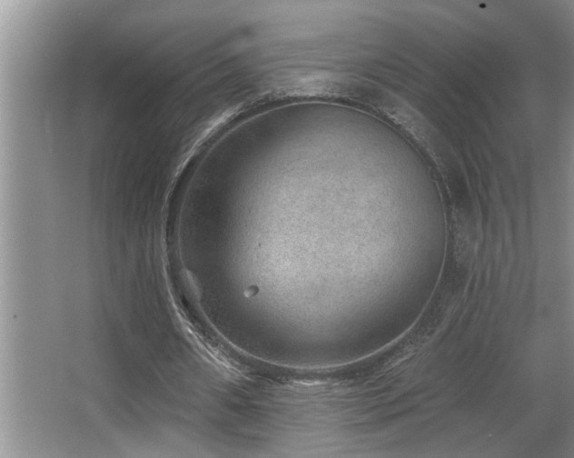 X0000067900482200604131358