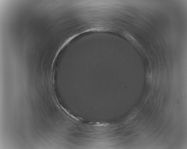 X0000067900484200604131358