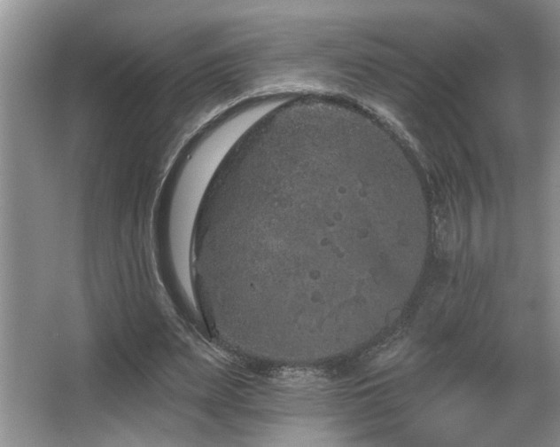 X0000067900487200604131358