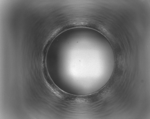 X0000067900490200604131358