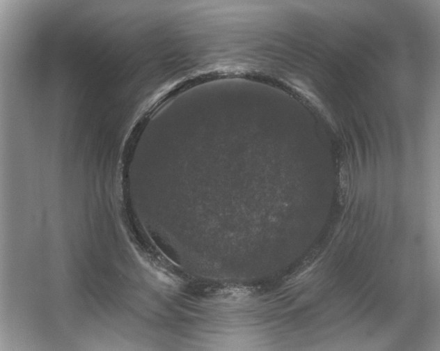 X0000067900492200604131358