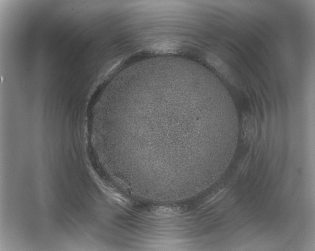 X0000067900494200604131358