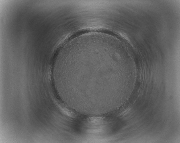 X0000067900495200604131358