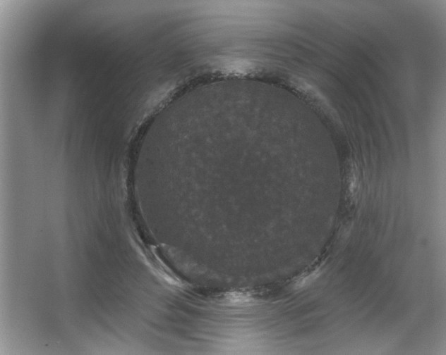 X0000067900496200604131358