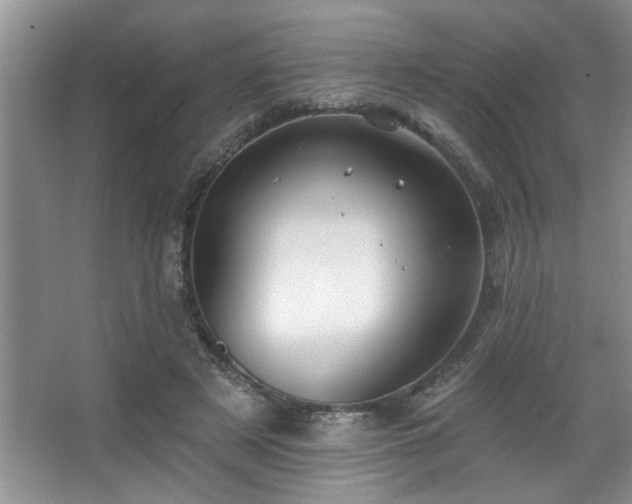 X0000067900497200604131358