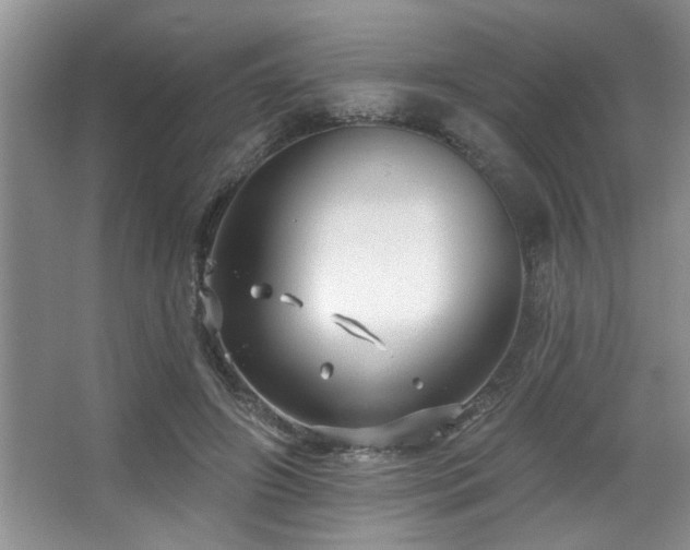 X0000067900498200604131358