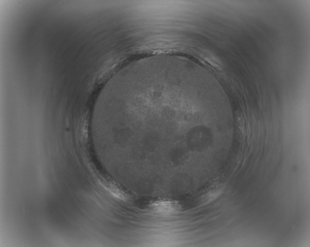 X0000067900499200604131358