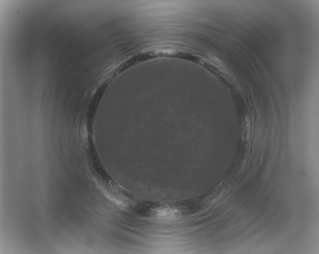 X0000067900500200604131358