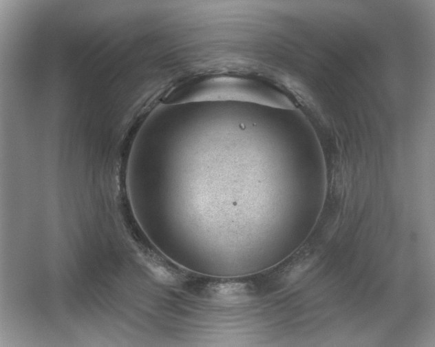 X0000067900501200604131358