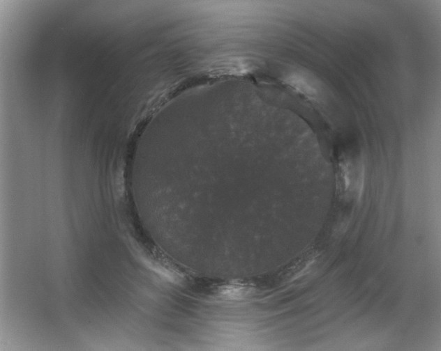 X0000067900504200604131358