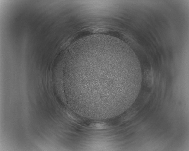 X0000067900506200604131358