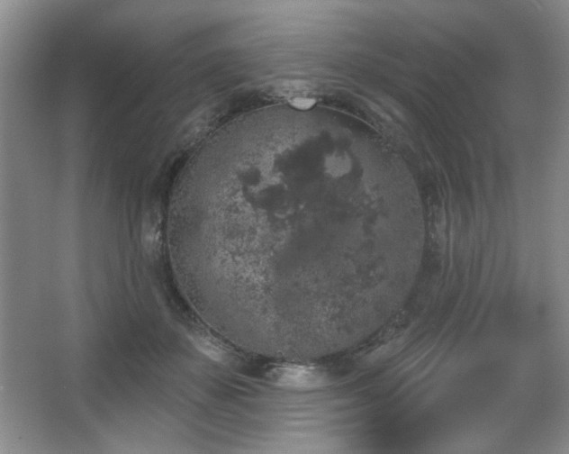 X0000067900507200604131358