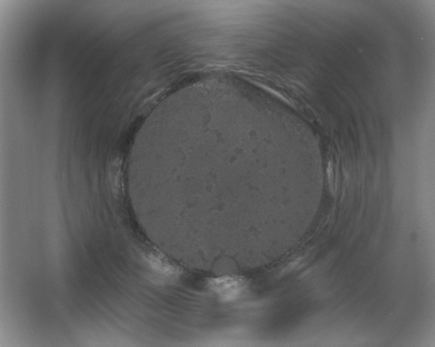 X0000067900511200604131358