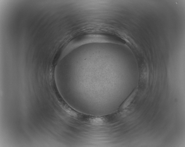 X0000067900513200604131358