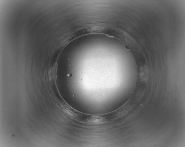 X0000067900514200604131358