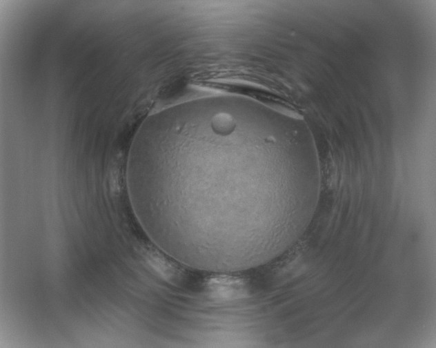 X0000067900515200604131358