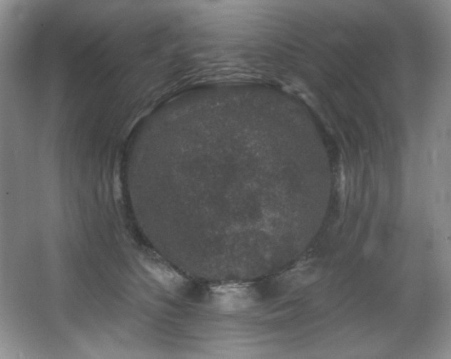 X0000067900516200604131358