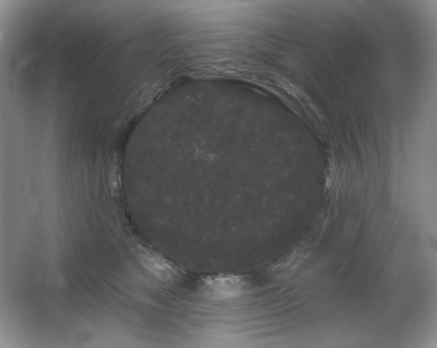 X0000067900517200604131358