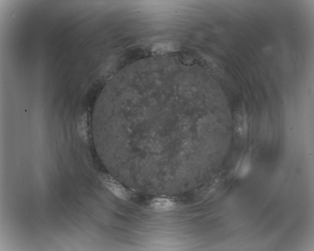 X0000067900519200604131358