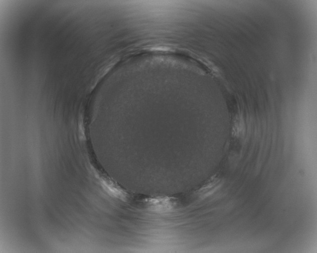 X0000067900524200604131358