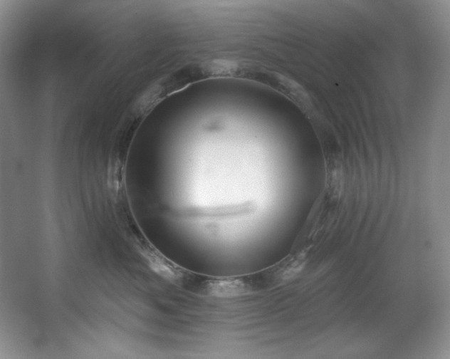 X0000067900525200604131358