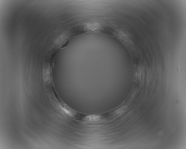 X0000067900526200604131357