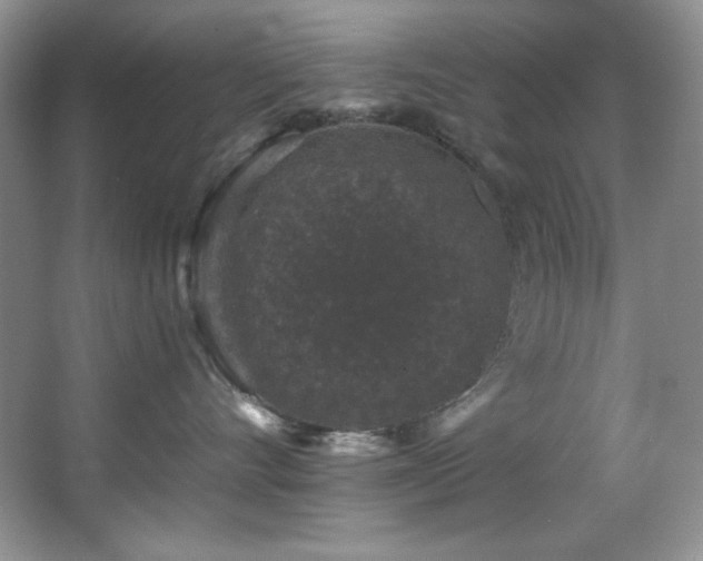 X0000067900528200604131357